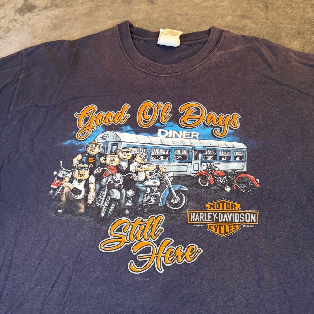 Harley Davidson Hog Days 2008 T Shirt Mens Extra Large Blue Graphic Tee